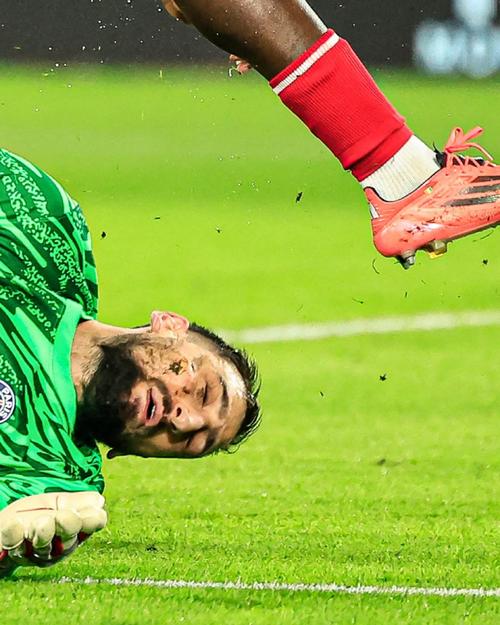 稳定争冠的 稳定争冠的