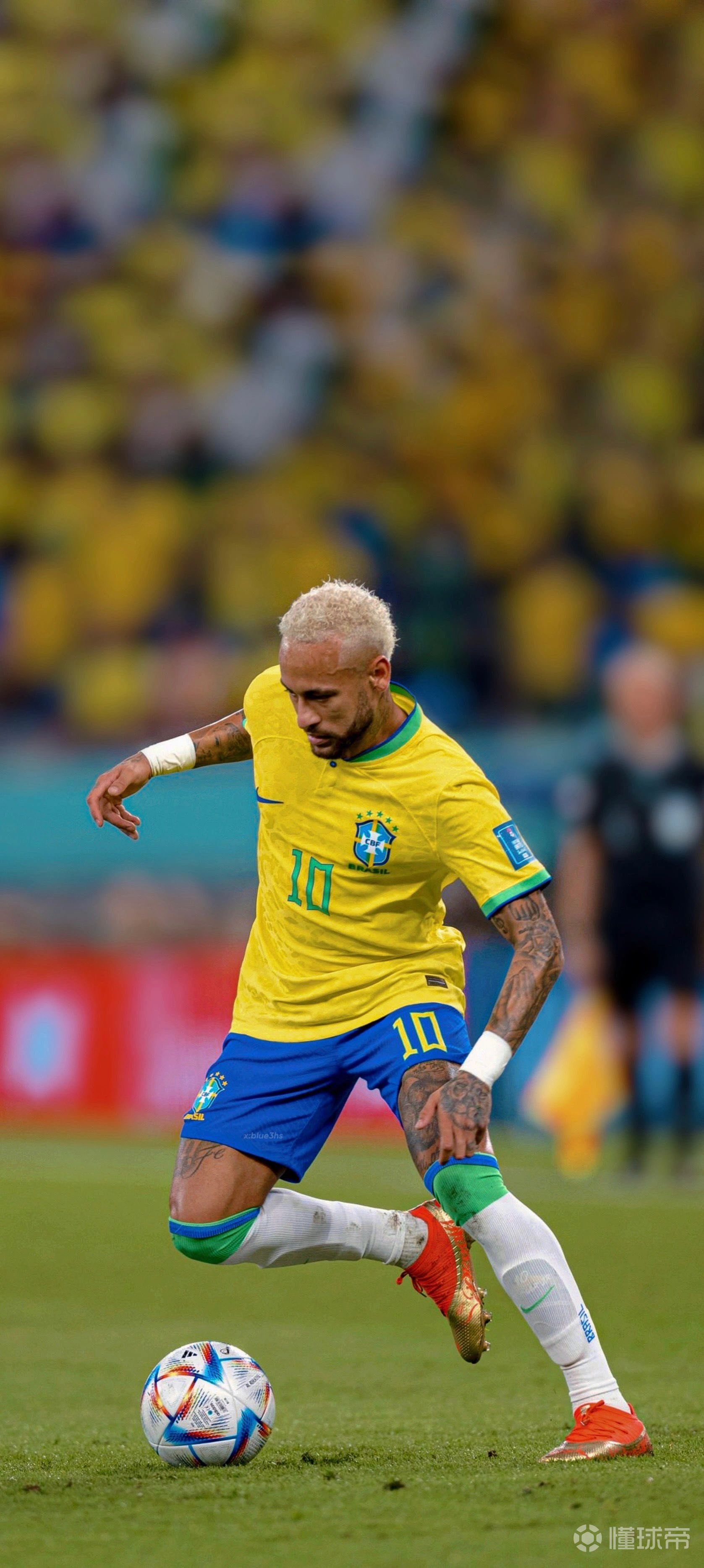 全包价并披 全包价并披