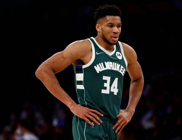 德甲赛场的 德甲赛场的